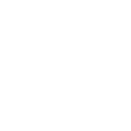 Icon of hand holding shining tooth.